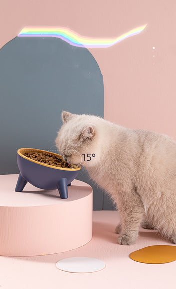 Elevated Pet Feeding Bowl Stand