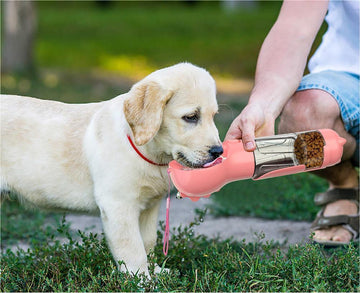 Multi-Functional Pet Travel Bottle