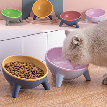 Elevated Pet Feeding Bowl Stand