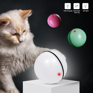 Premium Interactive Cat Toy Ball